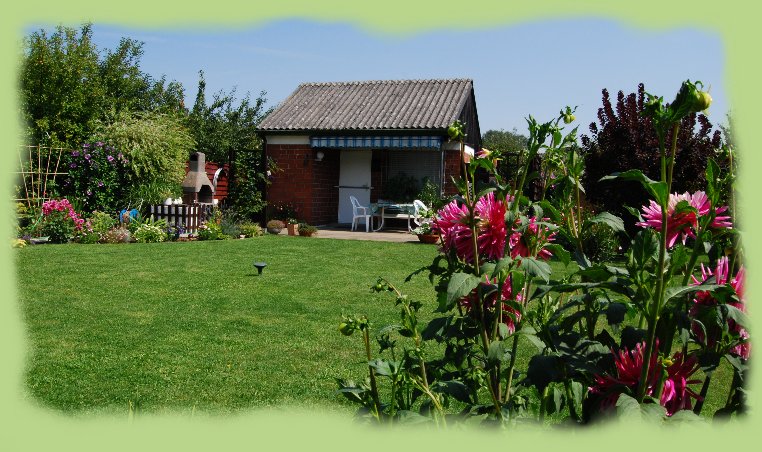 Garten 49 - August 2009