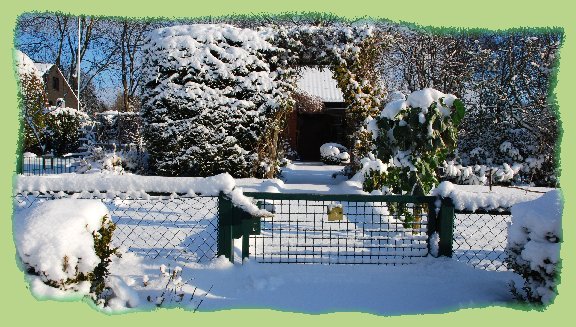 5. Januar 2009 - Garten 5