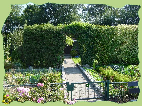 Garten 5 - 2006