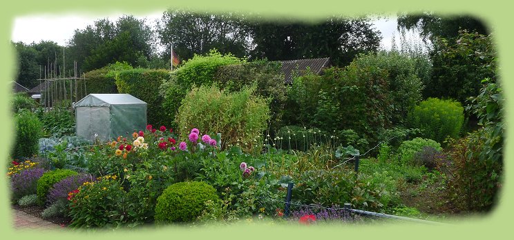 Garten 5 -  Juli