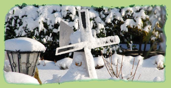 5. Januar 2009 - Garten 6