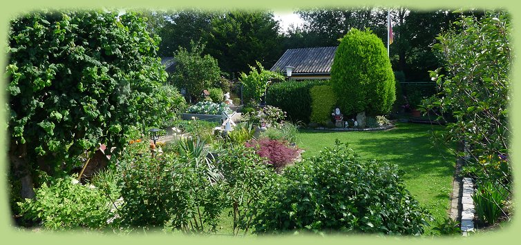 Garten 6 - - Juli