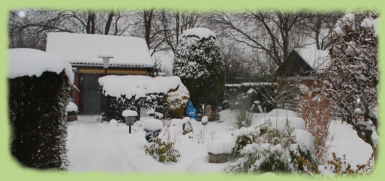 Garten 6 - 21. Jan. 2013