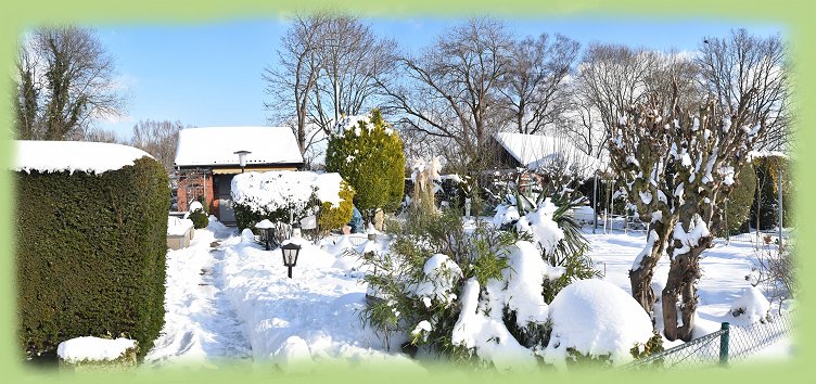 Garten_6_-_Febr._2021