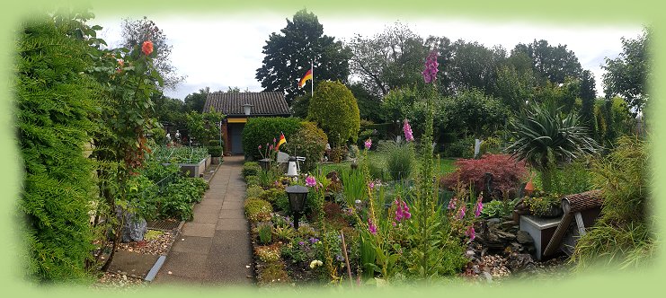 Garten 6  - Juni 2024