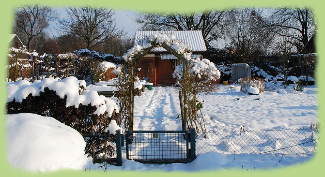 Garten 7 - 18. Jan. 2013