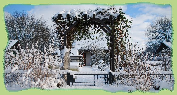 5. Januar 2009 - Garten 8