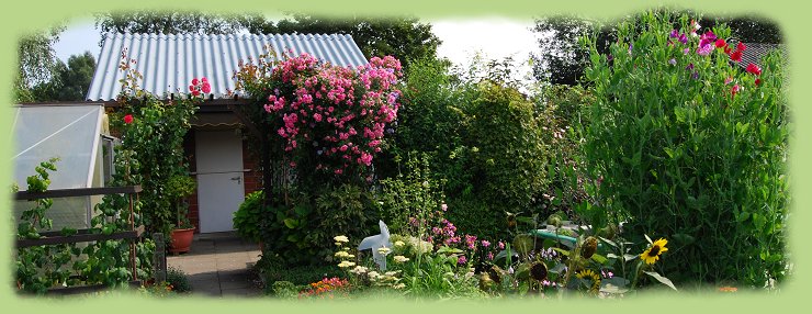Garten 8-2011