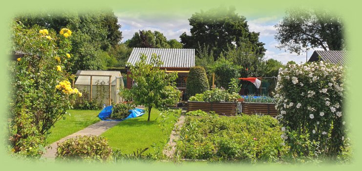 Garten 8 - 2019