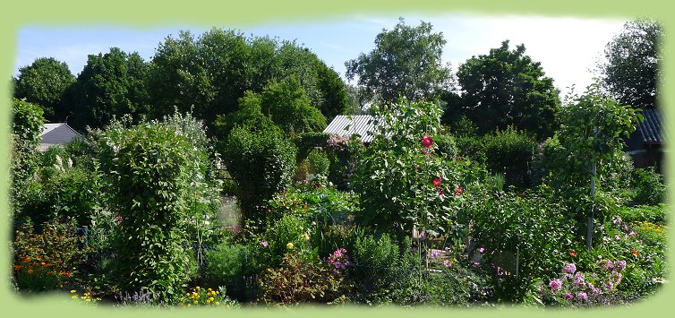 Garten 8 - Juli