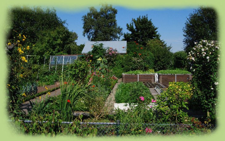 Garten 8 -  August 2009