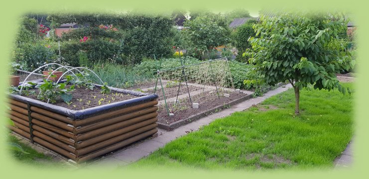 Garten 8a - 2019