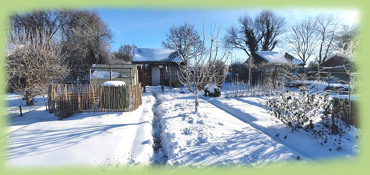 Garten_8a_2021