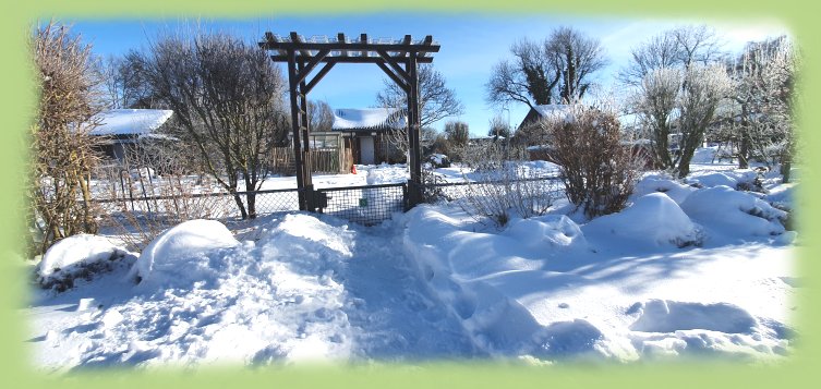 Garten_8b_2021