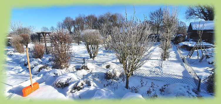 Garten_8c_-_2021