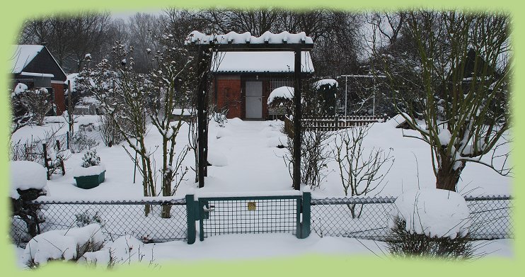 Garten 9 - 21. Jan. 2013