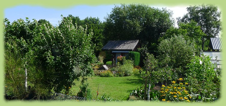 Garten 9 - Juli