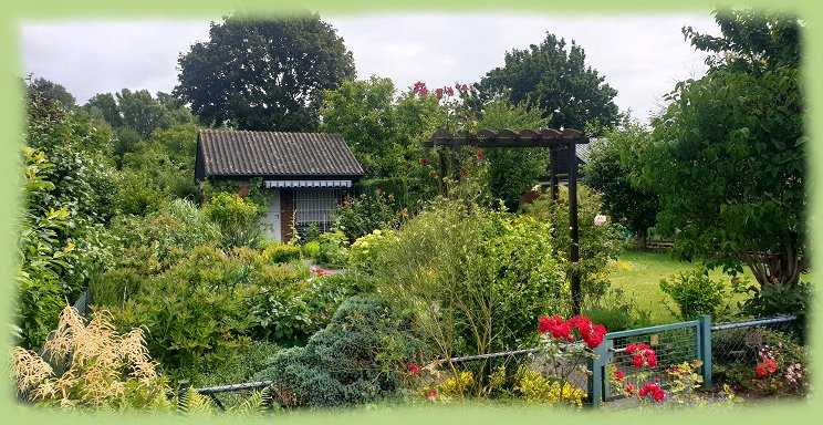 Garten 9  - Juni 2024