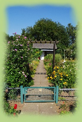 Garten 9  August 2009