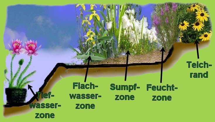 Wasserzonen-neu1