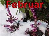 februar 2