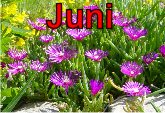 juni