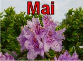 mai4