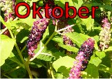 oktober1